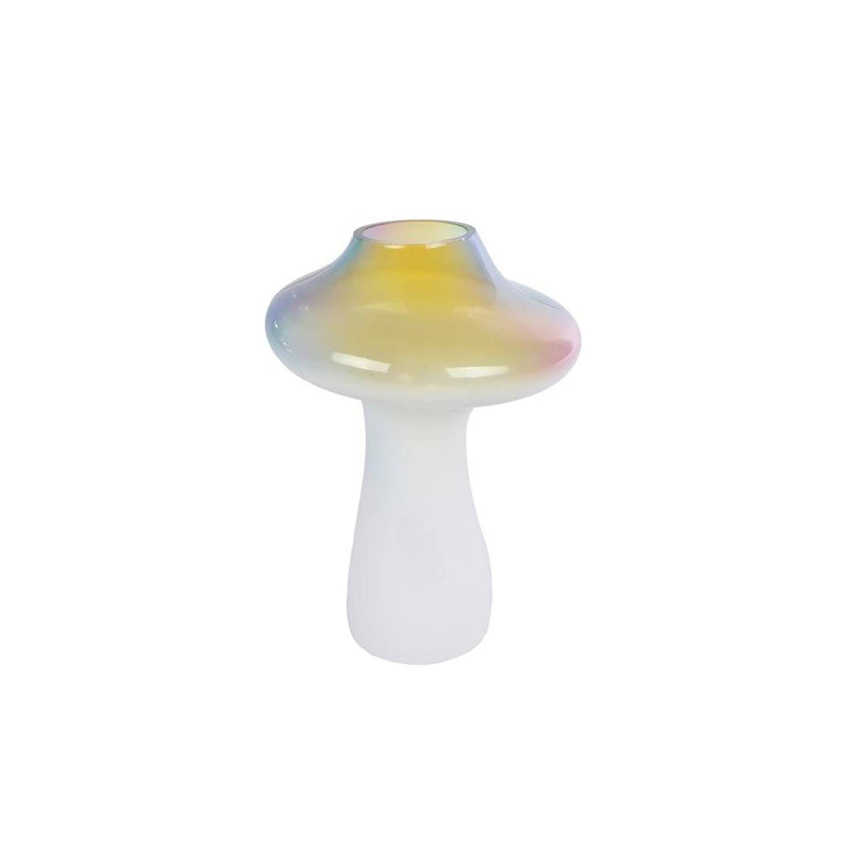Cosydecor vase billede svamp regnbue 12x12x17cm muticolor glas