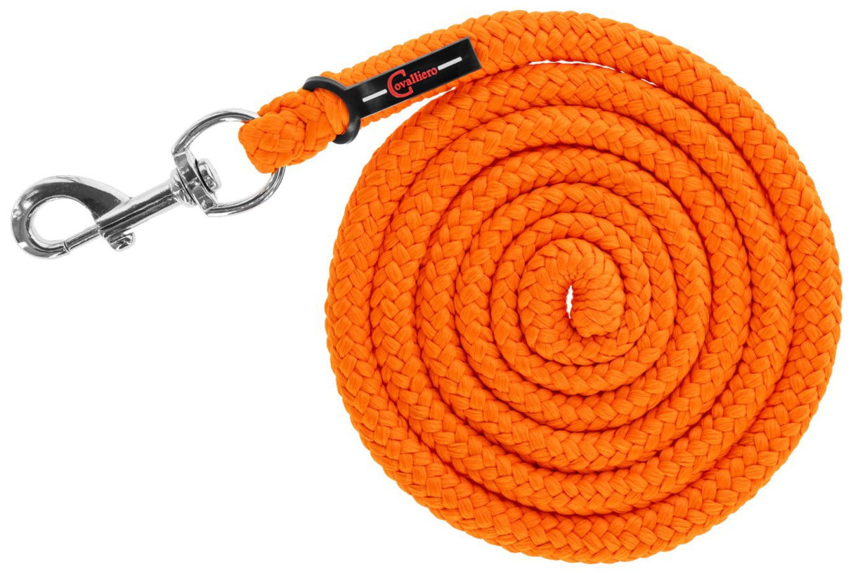 Produktproduktion linje med karabinhage flodhest pe orange