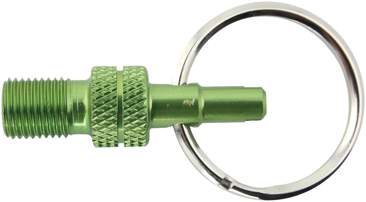 Af, Schulz Valiela PADTER MINI SV DV -> AV GREEN
