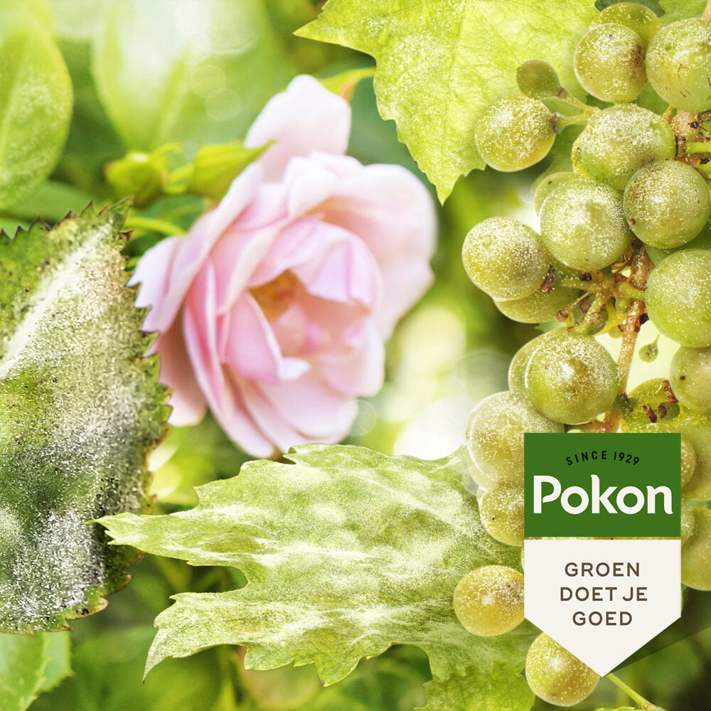 Pokon produkter biobehandling for spændstige og sunde roser spray 750ml