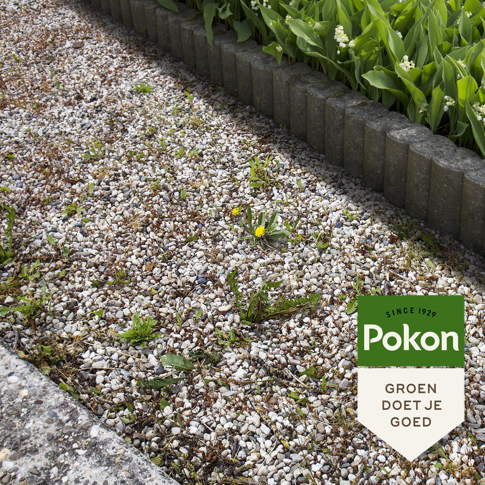 Pokon produkter mod ukrudt koncentrat 450ml