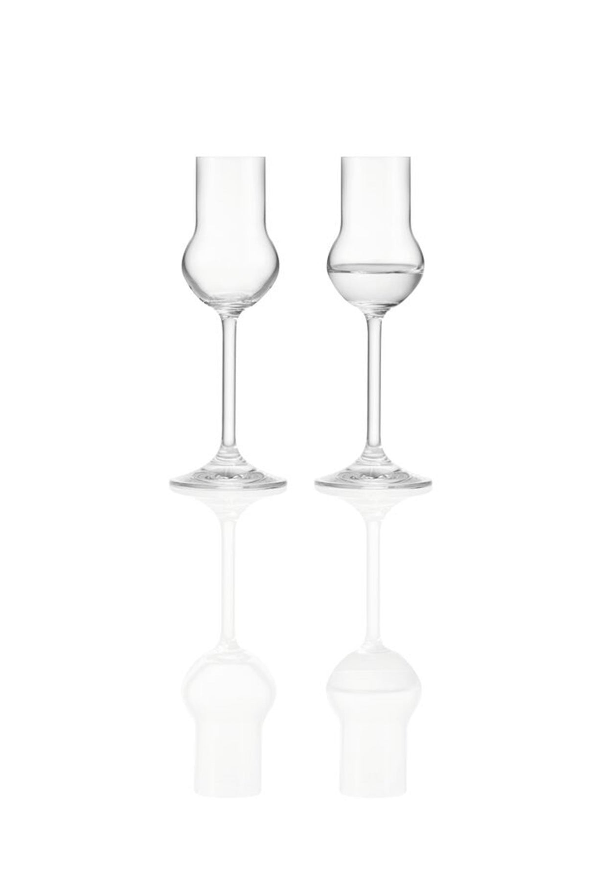 Montana rene likørglas 6 stk 60ml