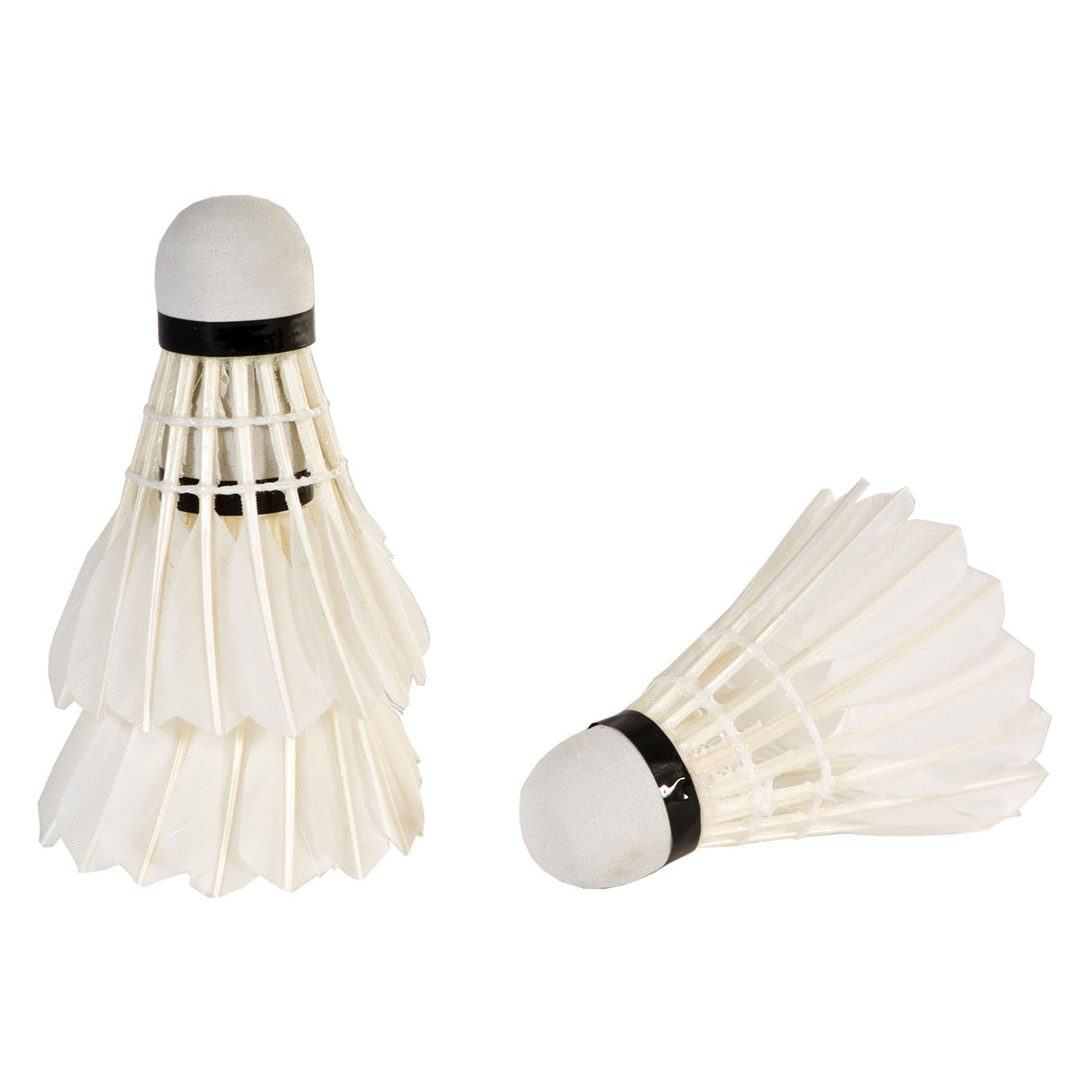 Sportx Shuttle Feathers White in Tube, 3st.