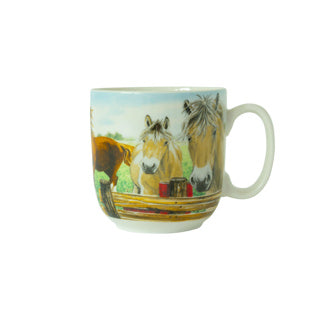 Wiebe van der Zee kop xl hest 41 cl Wiebe