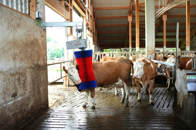 Produkter happycow ko børste maxiswing