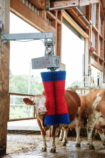 Produkter happycow ko børste maxiswing