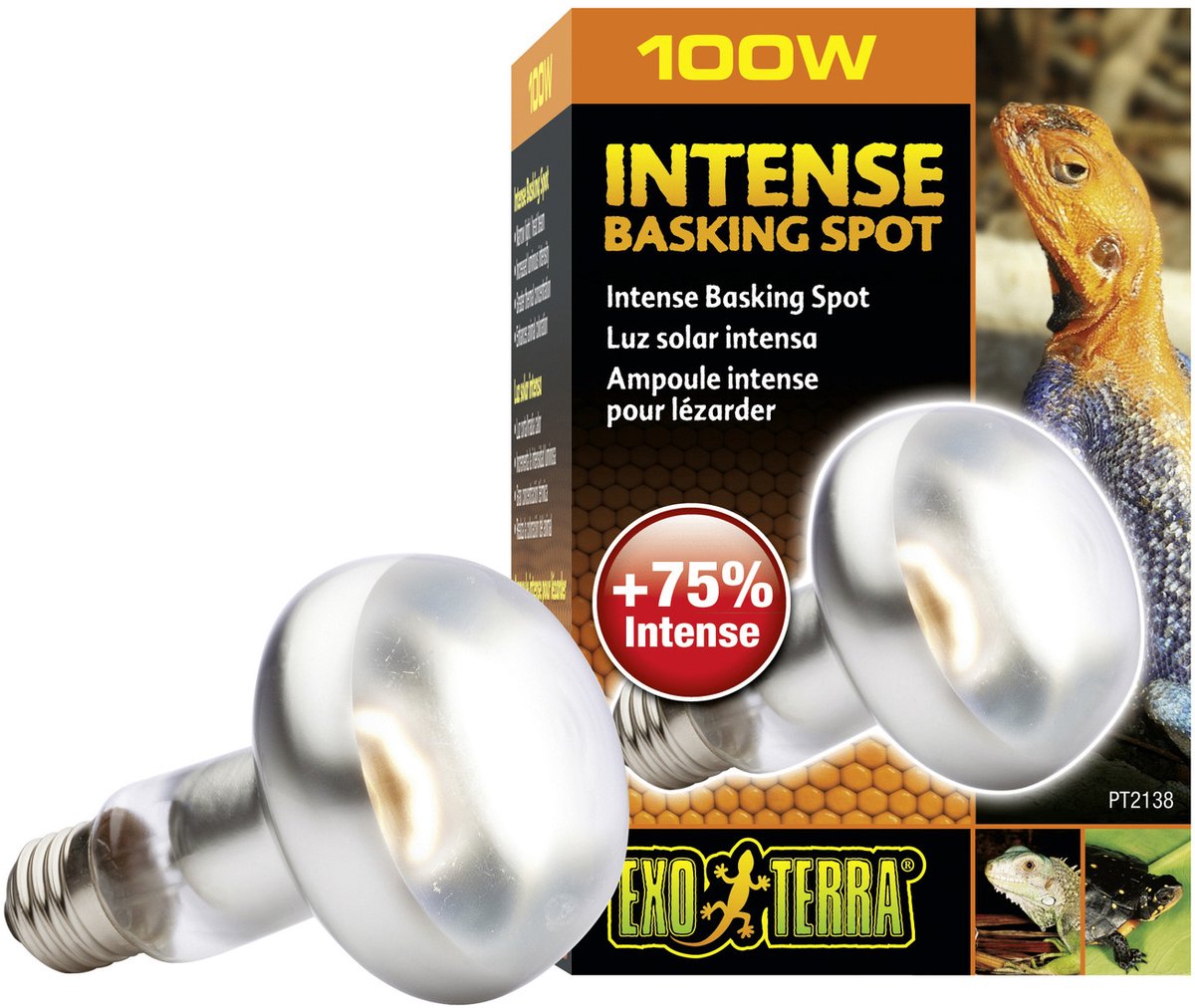 Exo terra basking - spotlampe - terrariumbelysning - 100w