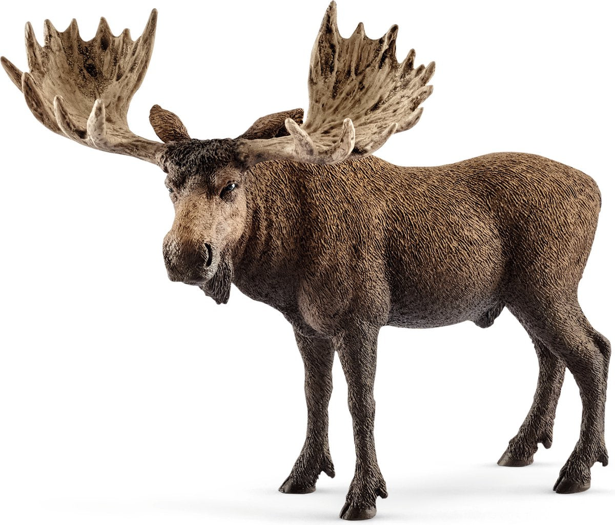 Schleich vilde liv - elgtyr - legefigur - børnelegetøj til drenge og piger - 3 til 8 år - 14781