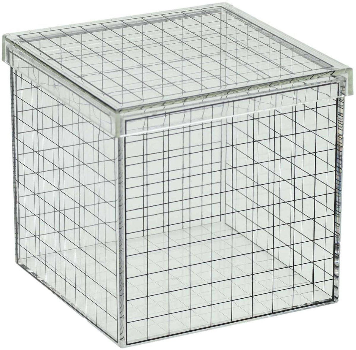 Albatros fiskeri gennemsigtig 3D gitter terning - 10x10x10 cm