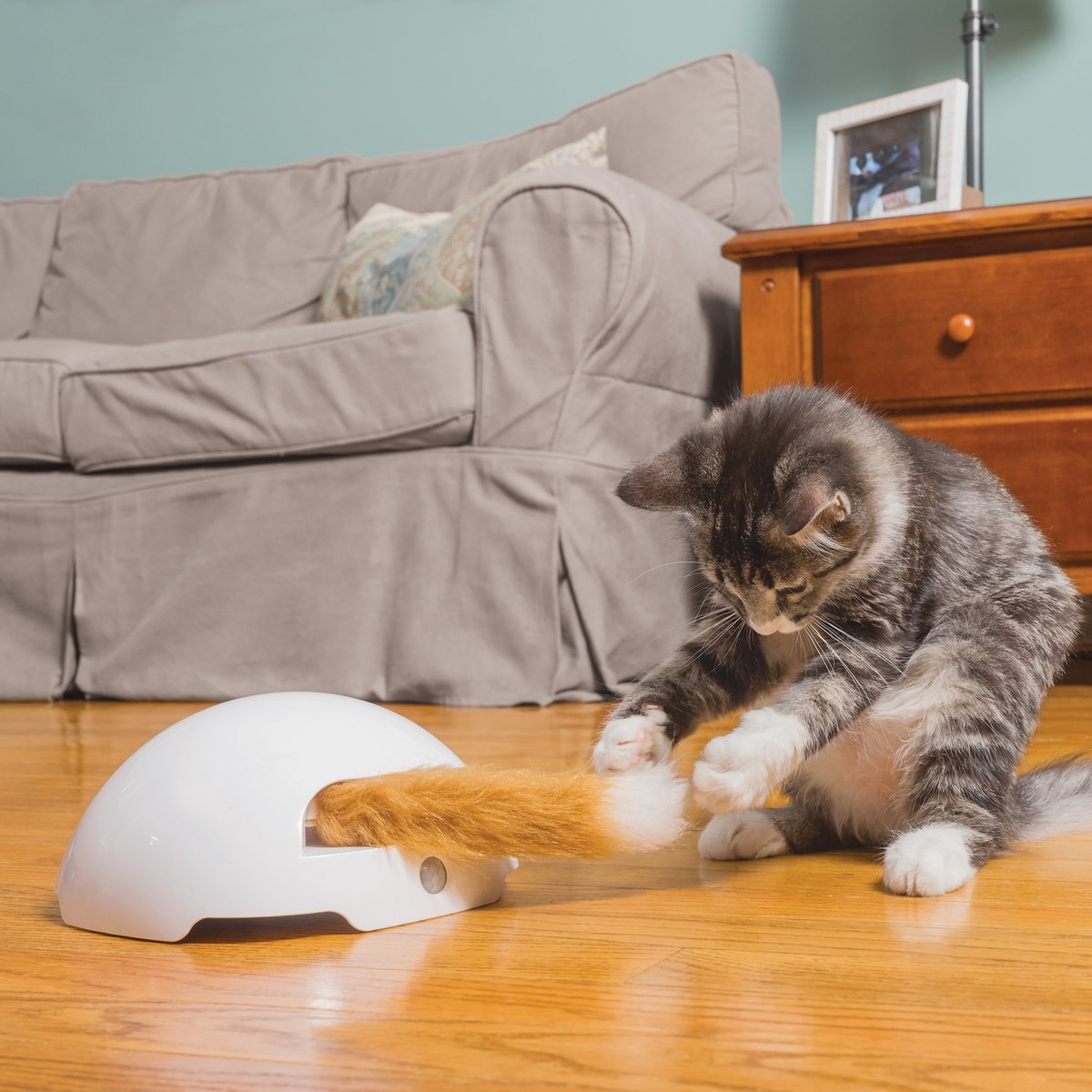 Petsafe frolicat rævehule - automatisk katteaser - kattelegetøj