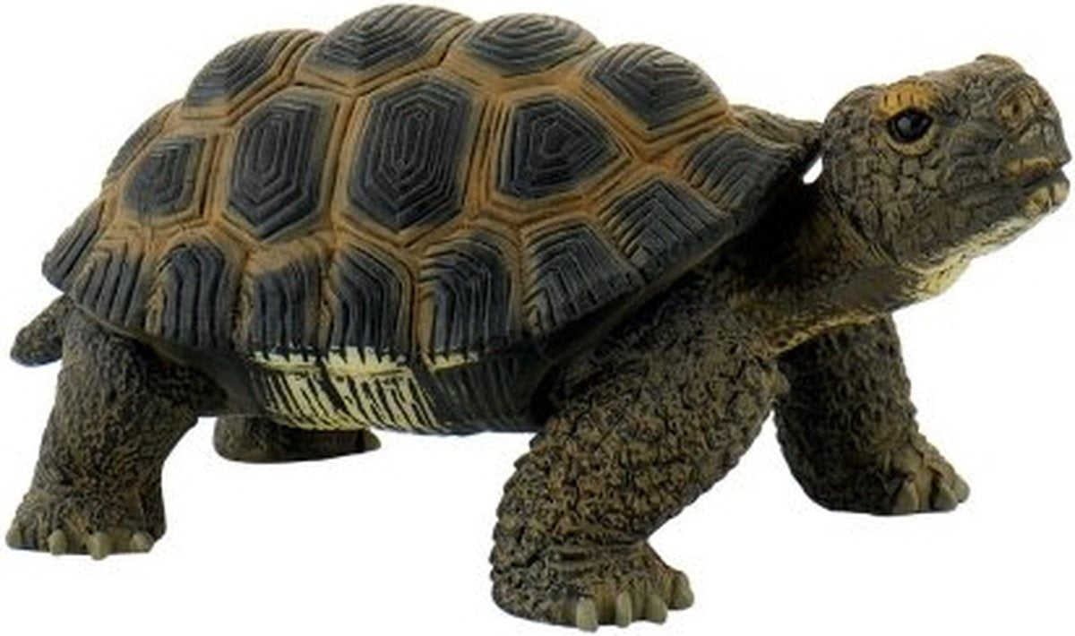 Bullyland 63553 – spillefigur og samlerfigur skildpadde – ca. 5 cm – naturtro og detaljeret design – ideel som pædagogisk legefigur, kagepynt eller lille gave til børn fra 3 år.