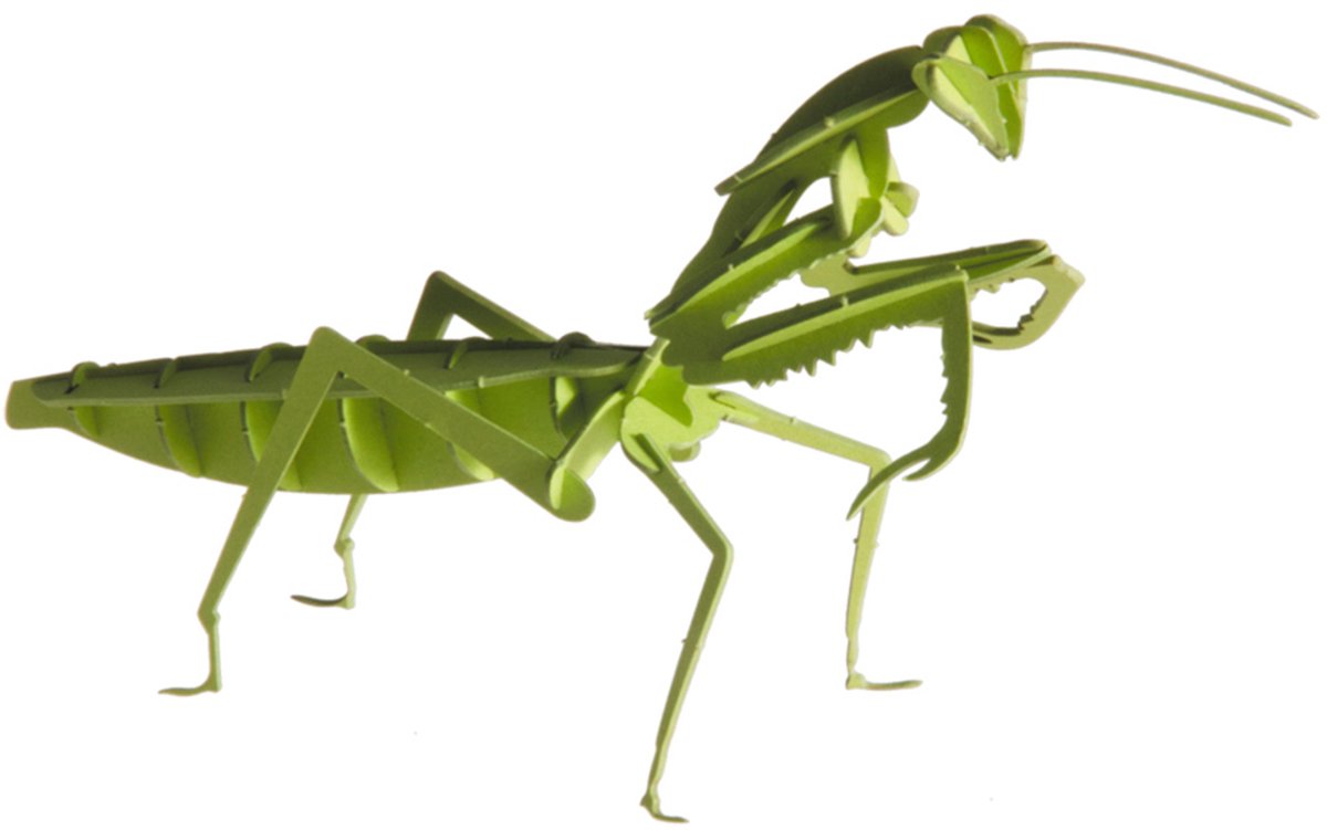 Fridolin 3D papirmodel - bedduge.
