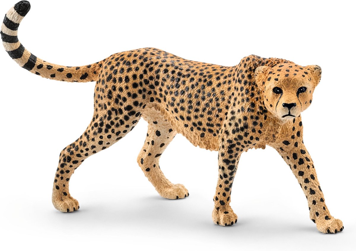 Schleich safari - leopard, kvinde 14746