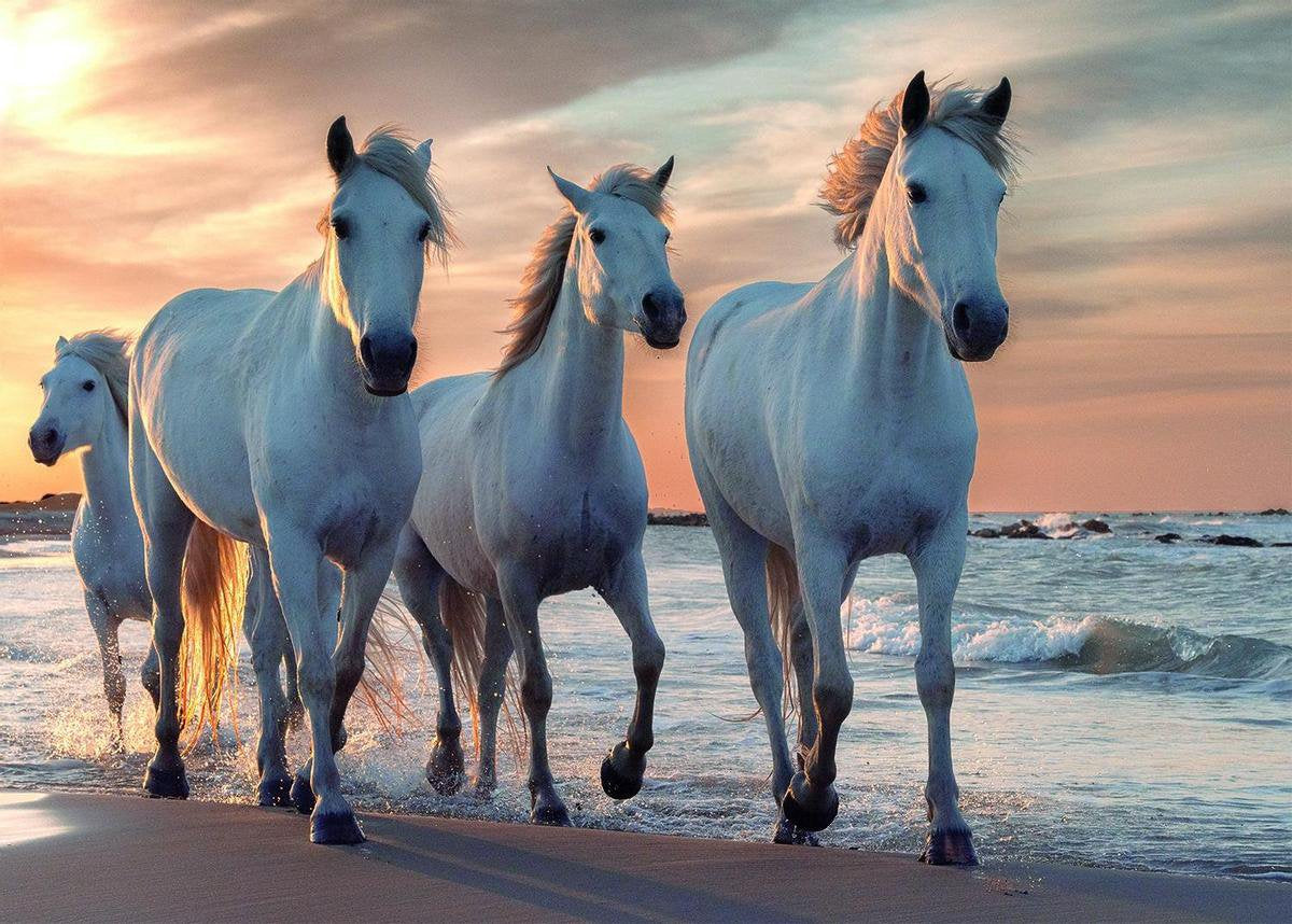 Rebo legpuzzel - 1000 st - horses