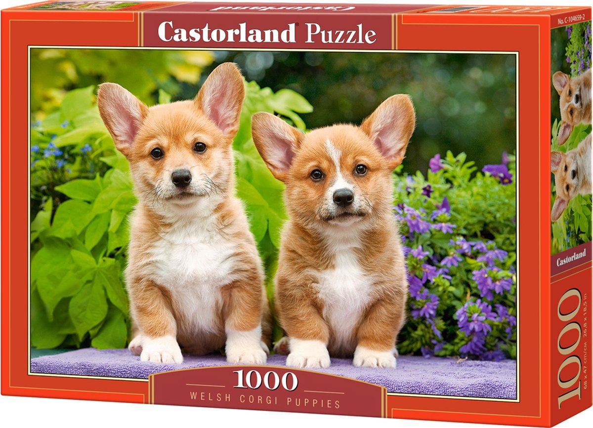 Castorland welsh corgi hvalpe – puslespil – 1.000 brikker – satin finish – perfekt pasform – europæisk kvalitet