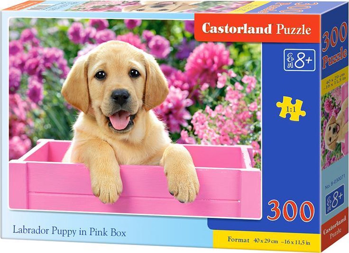 Castorland labrador hvalp i pink æske – puslespil – 300 brikker – hvalp – førsteklasses kvalitet