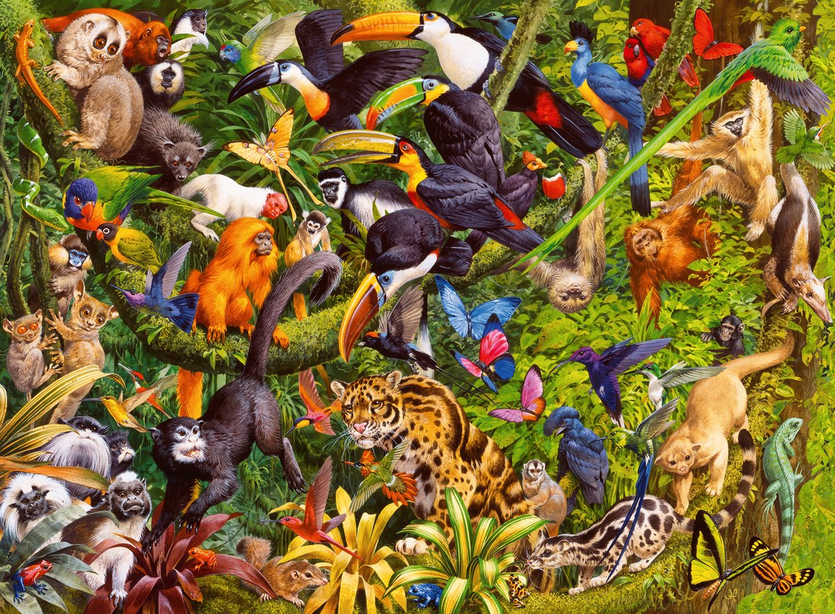 Ravensburger puslespil farverig jungle - puslespil - 200 xxl brikker