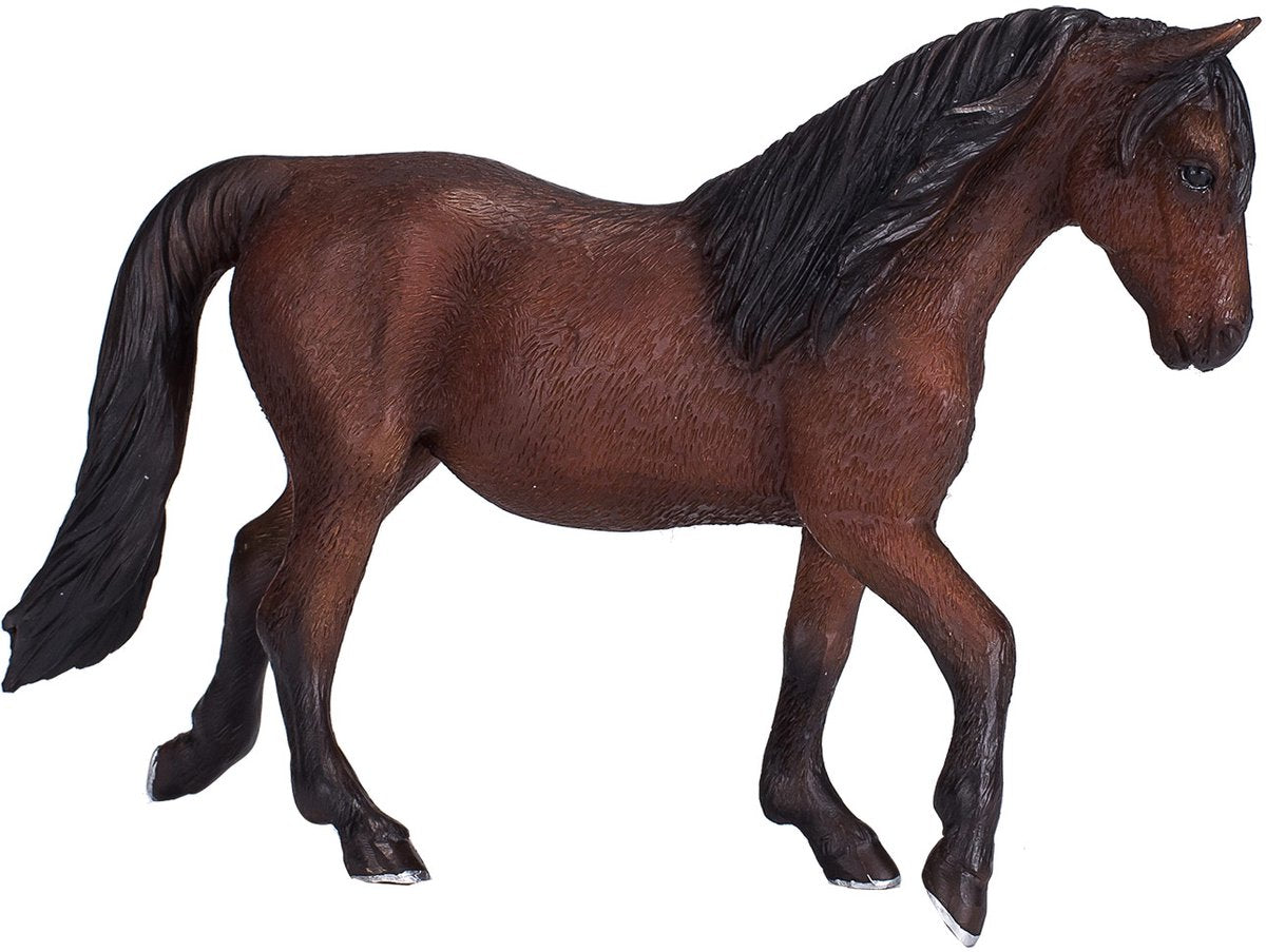 Mojo horse world morgan hingst brun - 381021