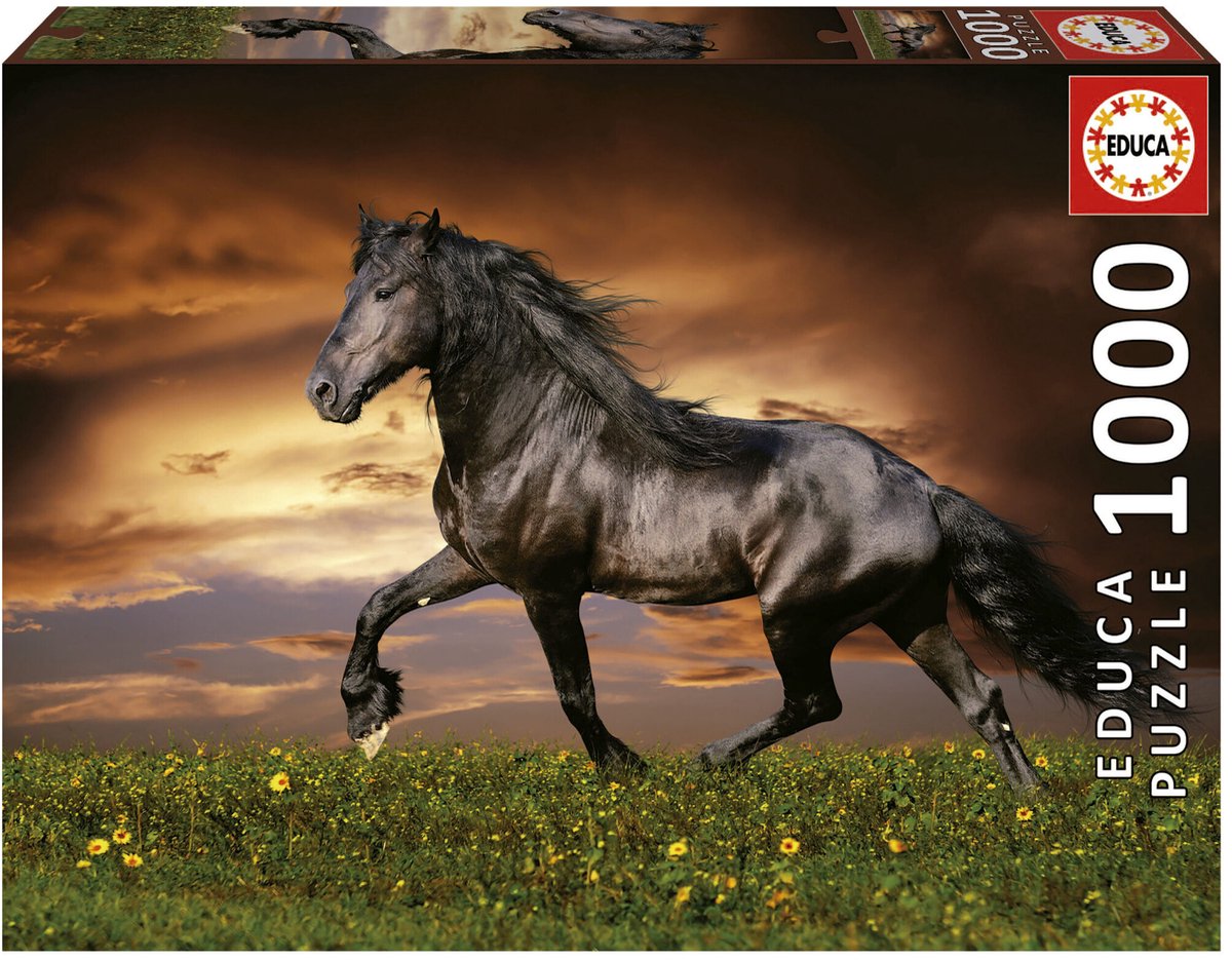 Educa - puslespil - 1000 brikker - hest