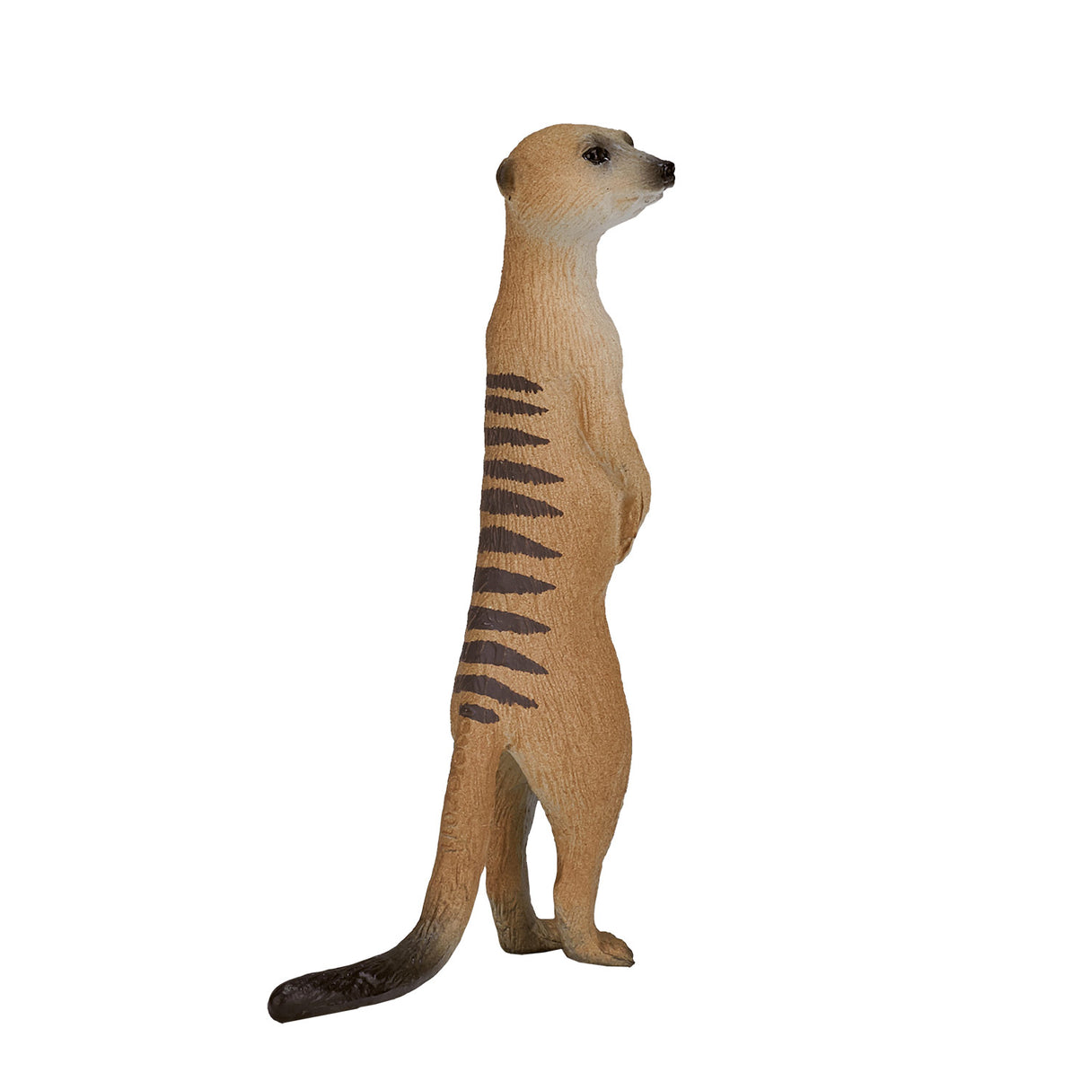 Mojo dyrelivsmeerkat - 387125