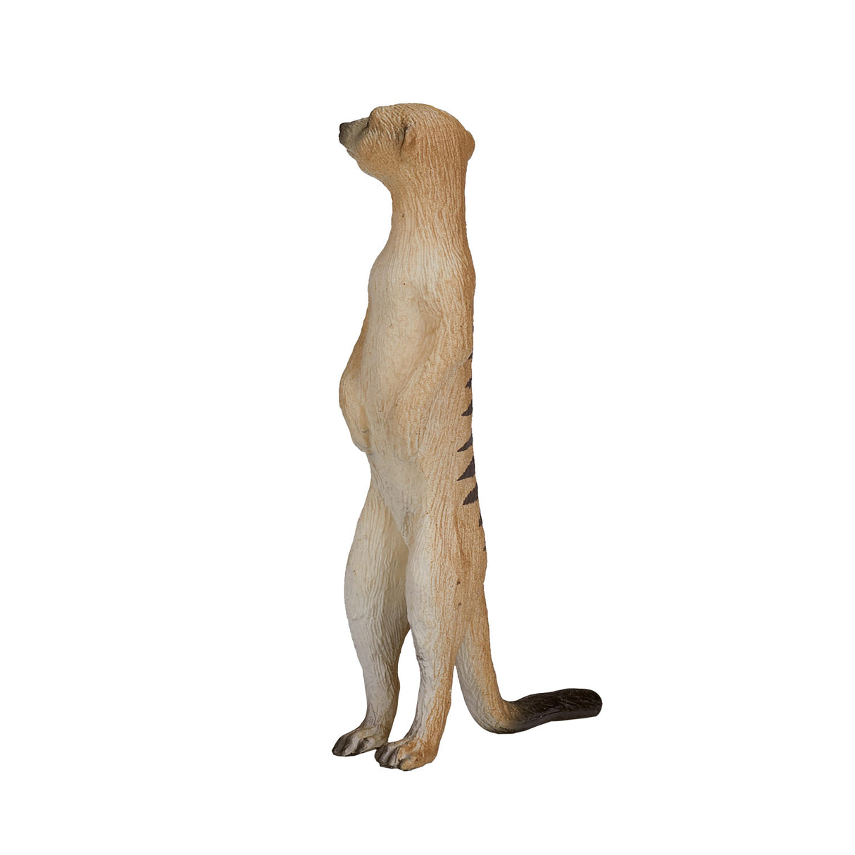 Mojo dyrelivsmeerkat - 387125