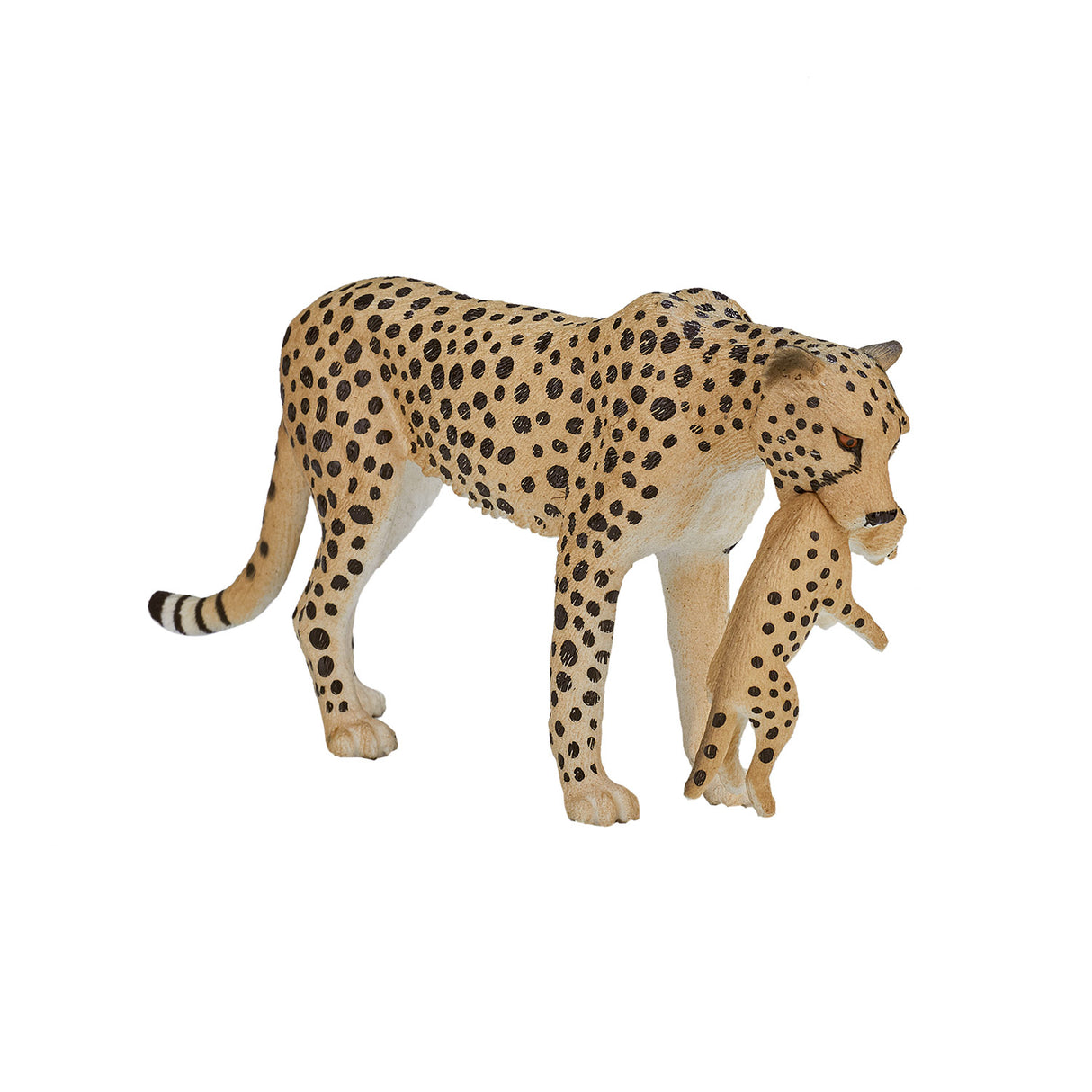 Mojo wildlife gepard hun med unge - 387167