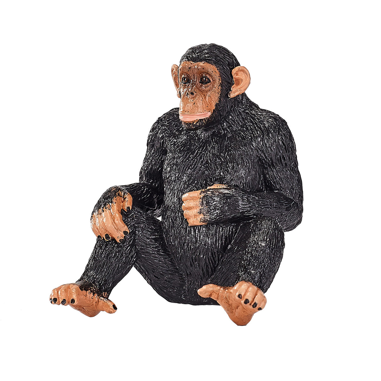 Mojo vilde chimpanse - 387265