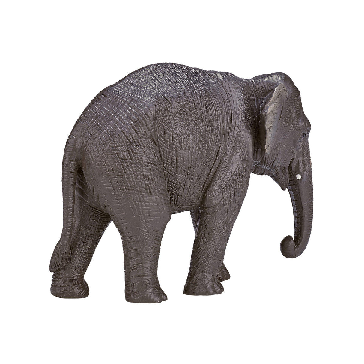 Mojo dyreliv asiatisk elefant - 387266