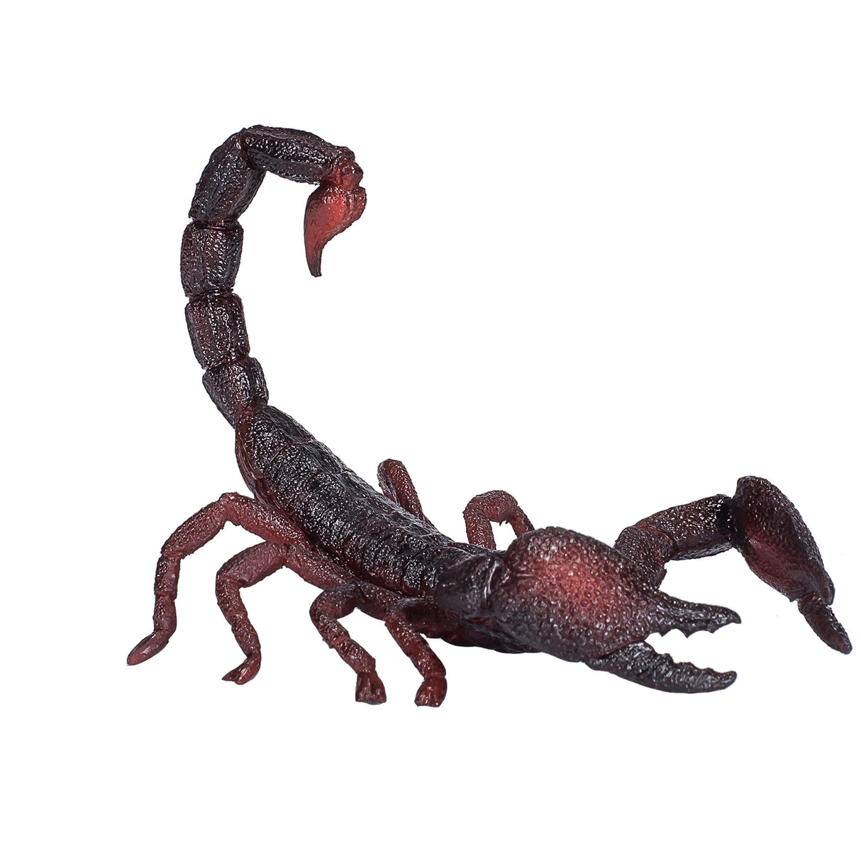 Mojo dyreliv kejser skorpion - 387133