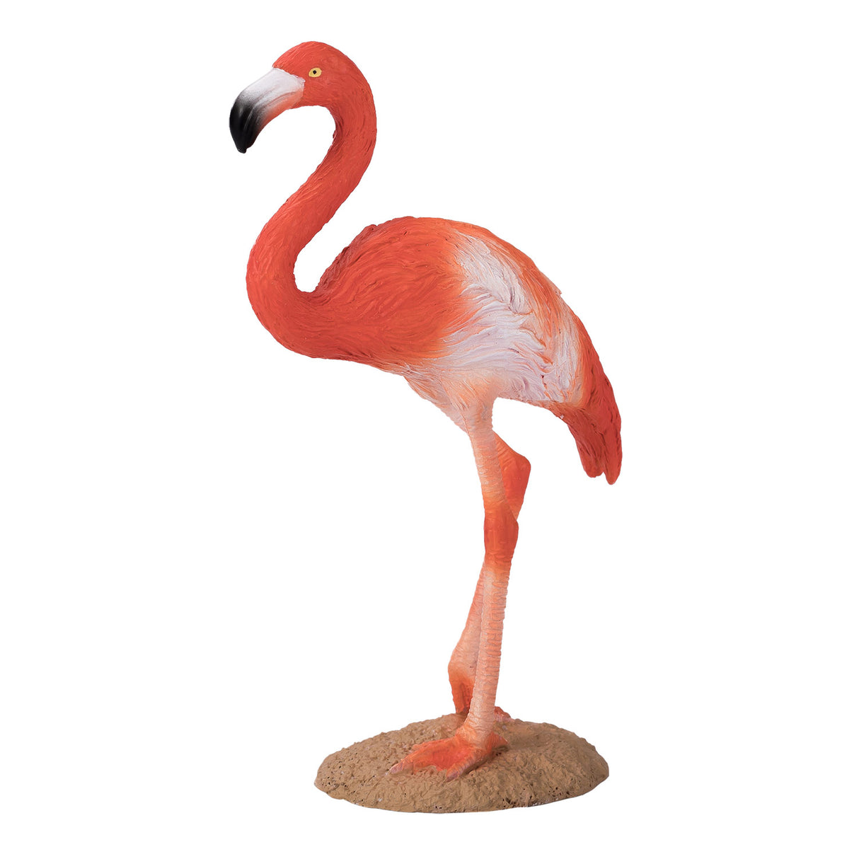 Mojo dyreliv amerikansk flamingo - 387134