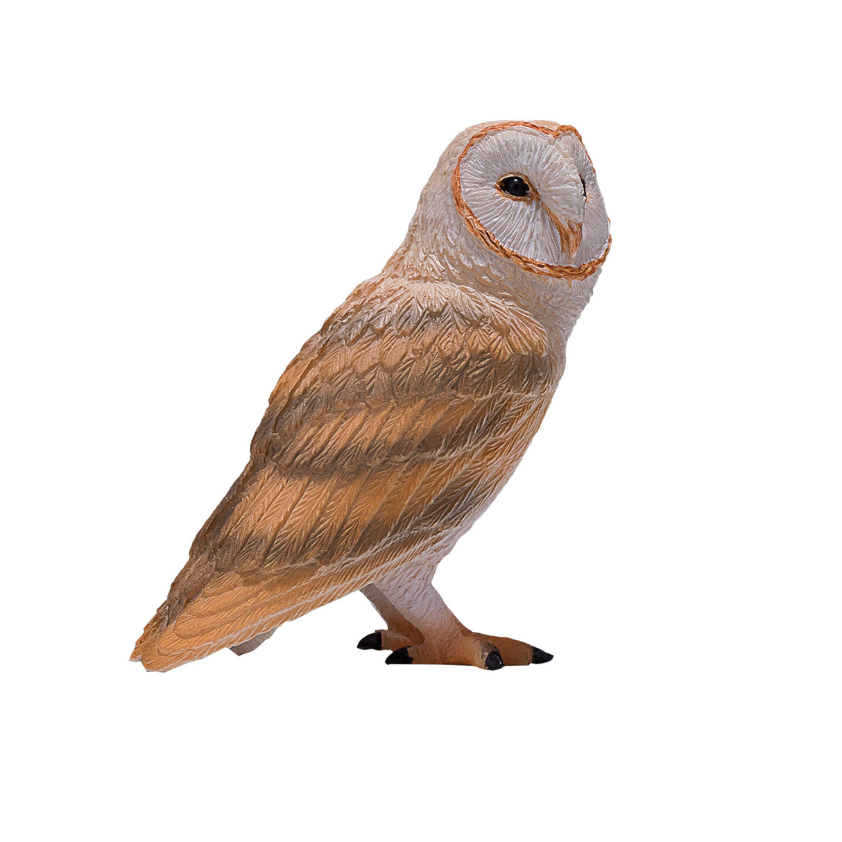 Mojo dyreliv slørugle - 381054