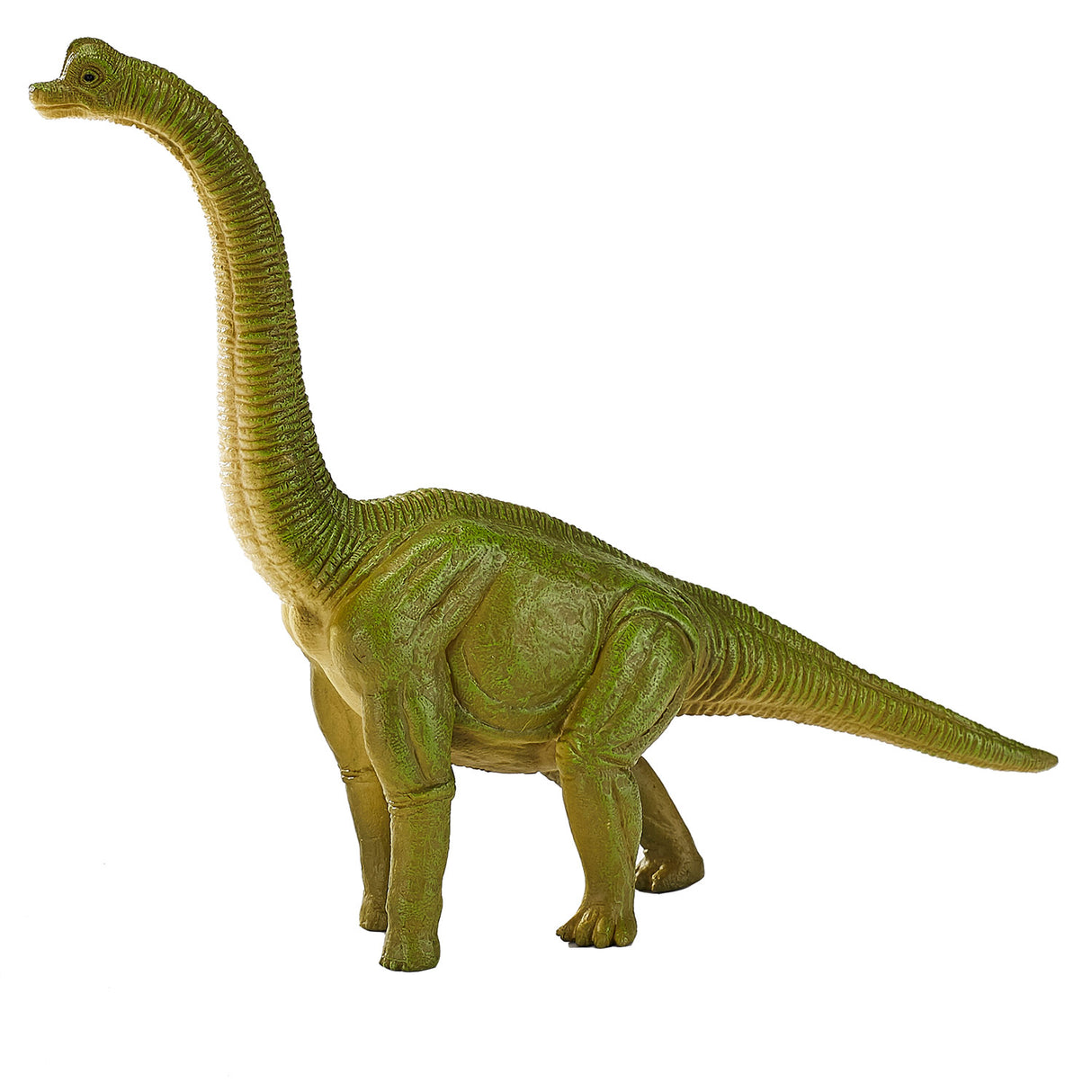 Mojo prehistory brachiosaurus - 387212