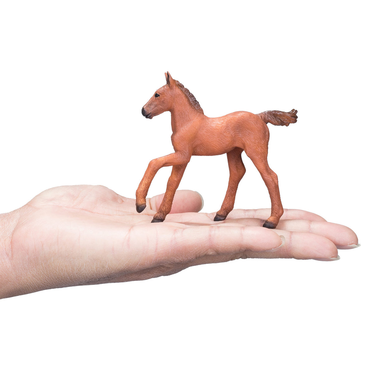 Mojo horse world arabisk føl brun - 381019