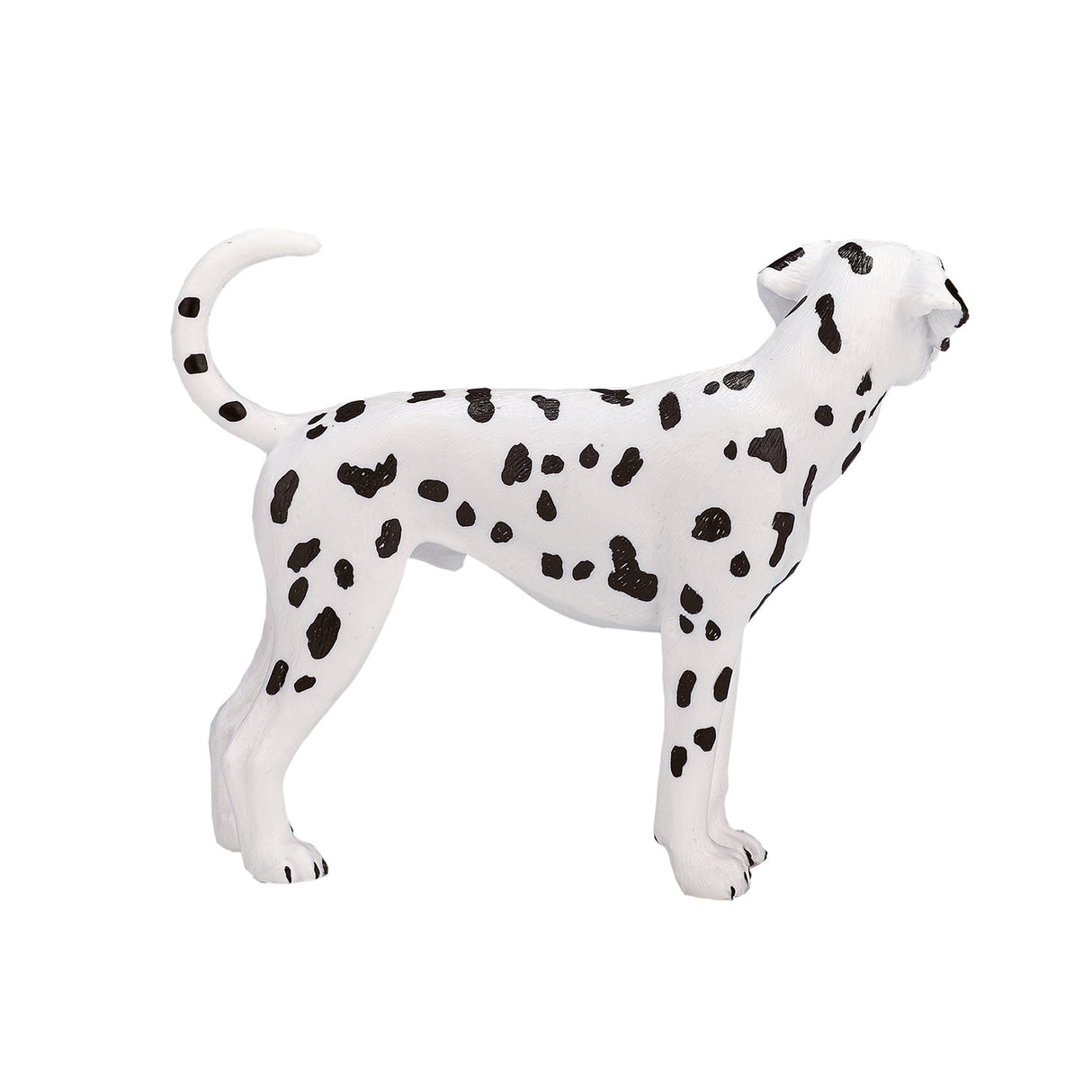 Mojo landbrugsjord dalmatisk - 387248