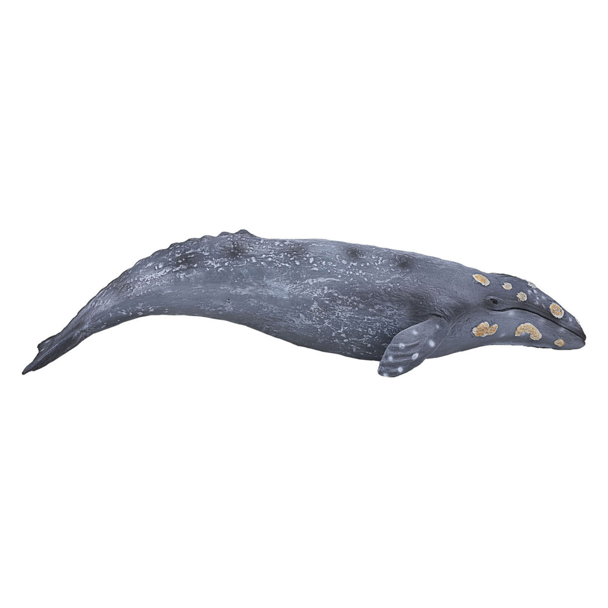 Mojo sealife - gråhval 387280