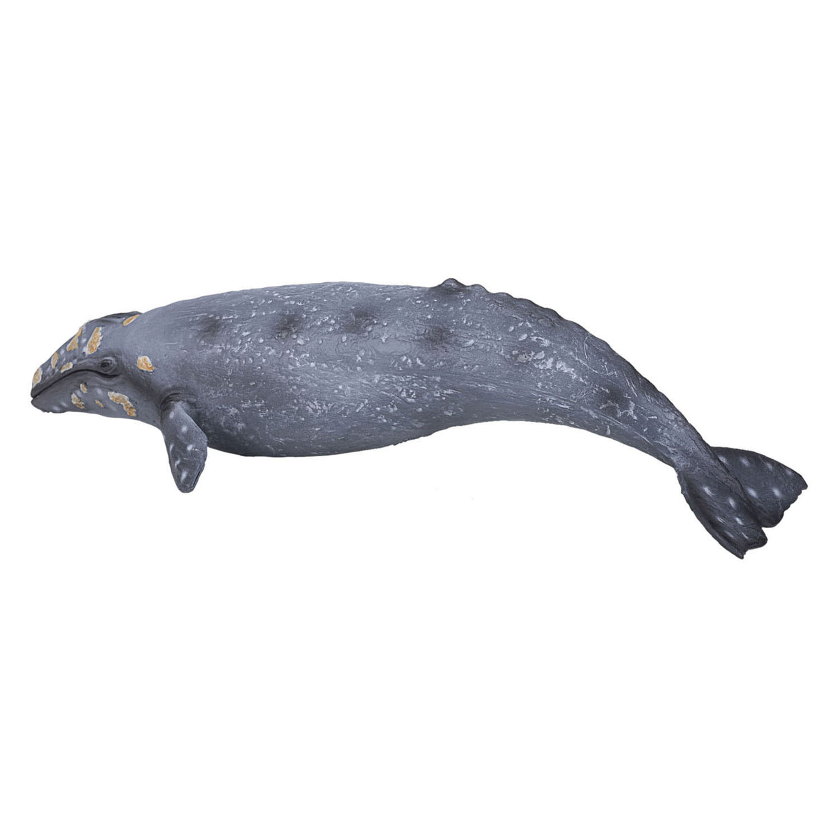Mojo sealife - gråhval 387280