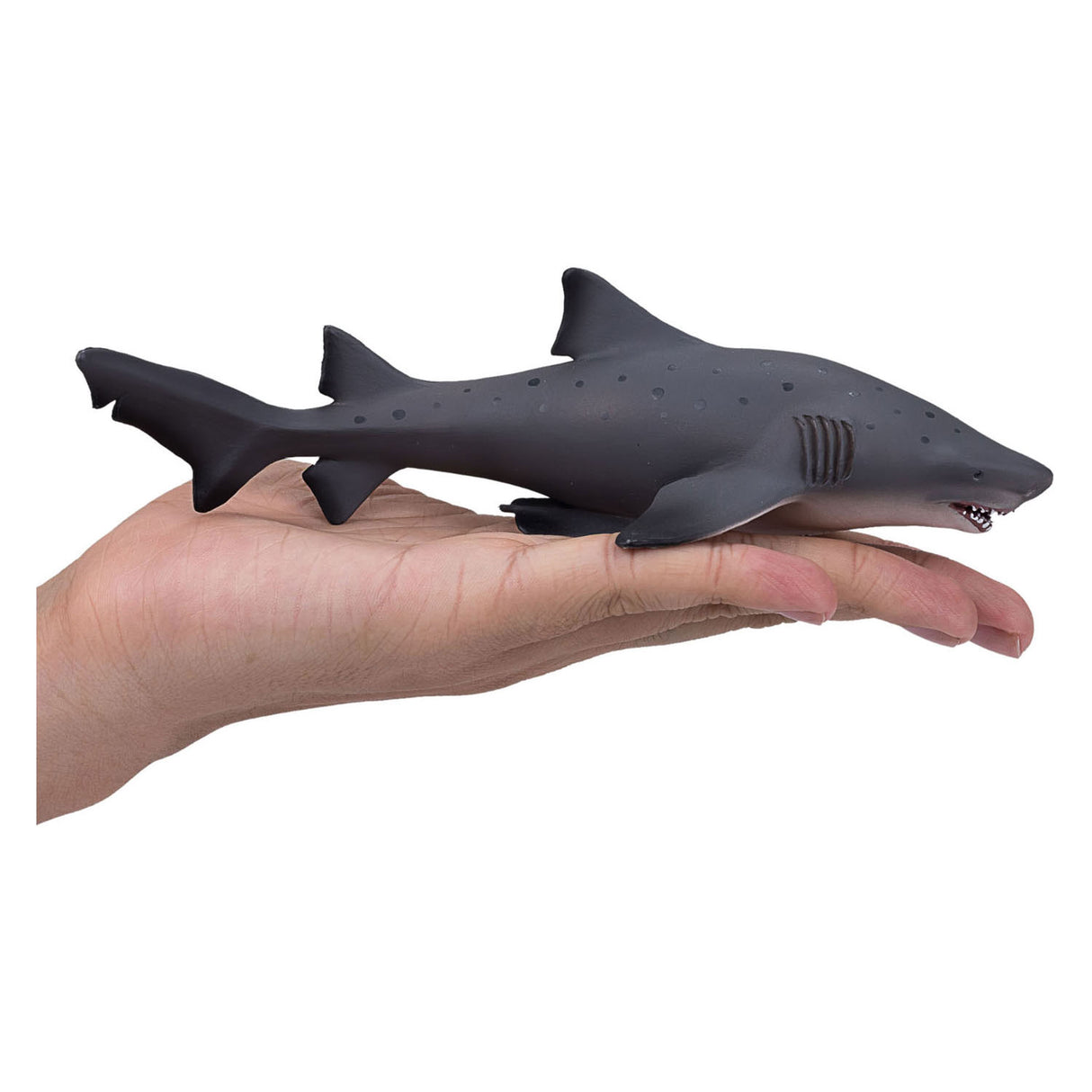Mojo sealife sand tiger haj stor 387355