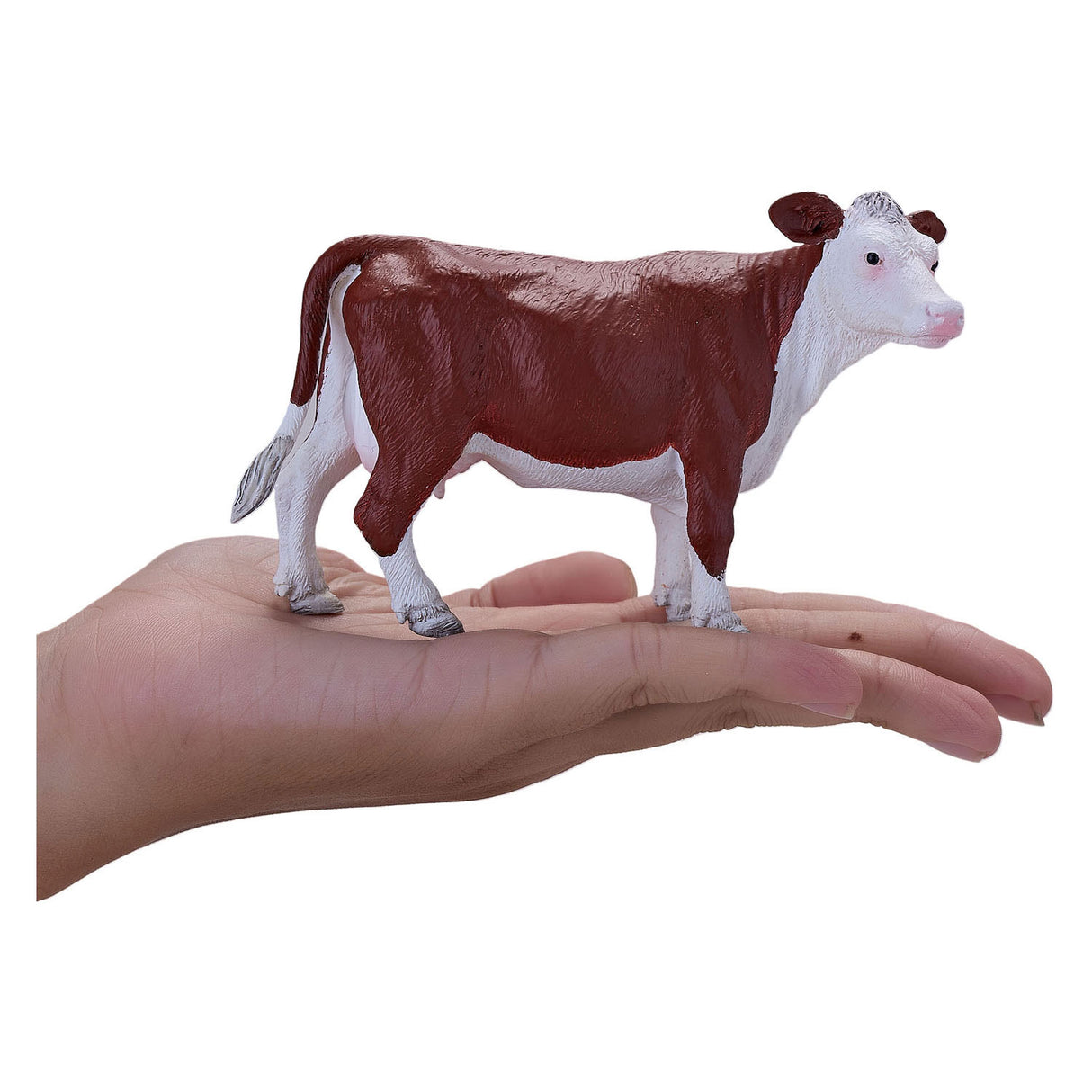 Mojo landbrugsjord Hereford Koe - 381074
