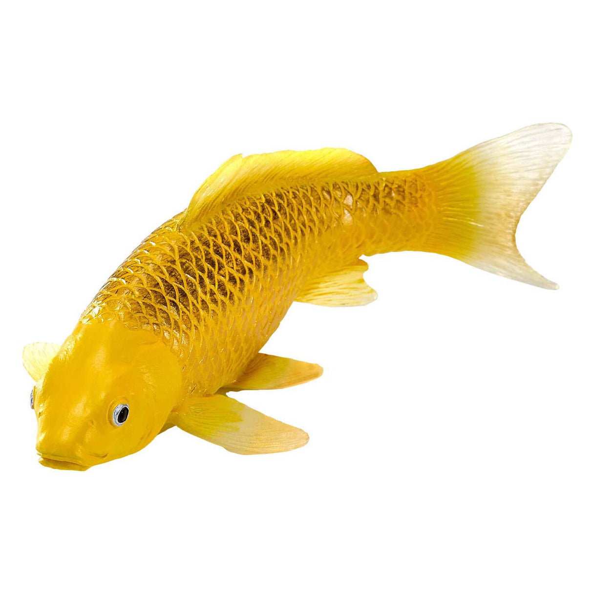 Mojo sealife koi karper - chin matsuba koi - 381105