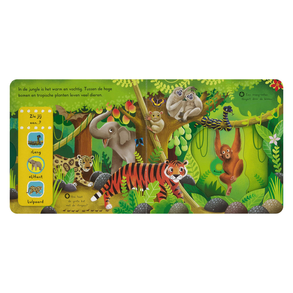 Deltas se og opdag! - i jungleklapbogen