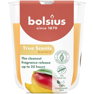 Bolsius | 3 stk
