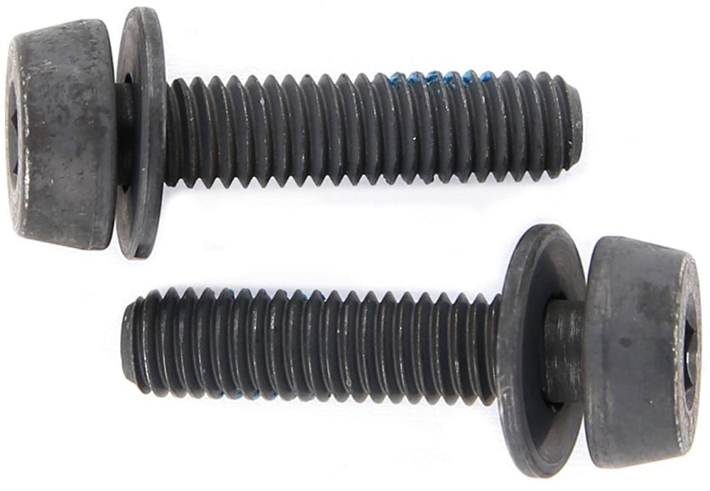 bolte til bagerste skivebremsekaliber 39 mm 2 stk