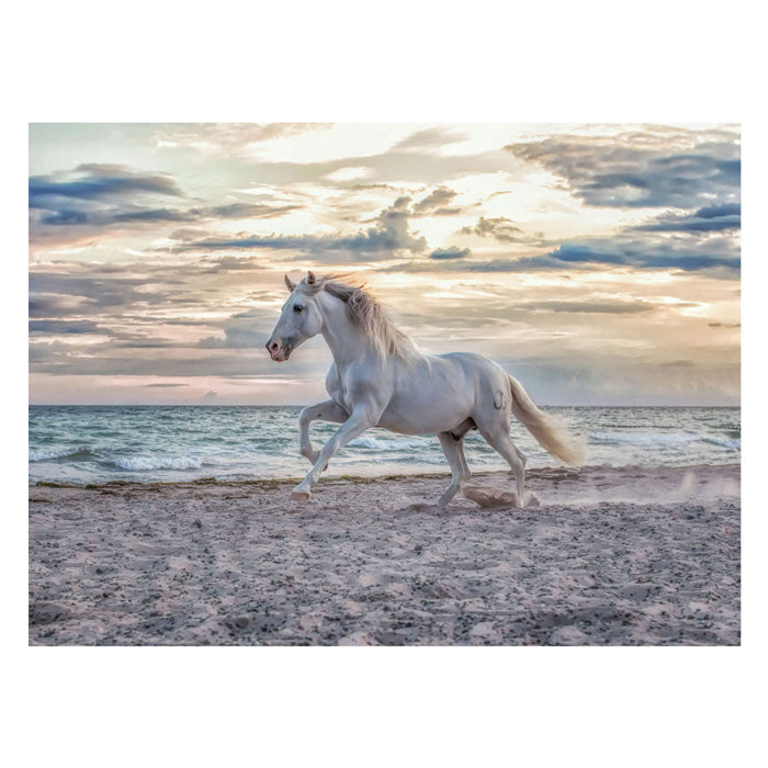 Ravensburger puslespil hest strand - 500 brikker puslespil dyr.