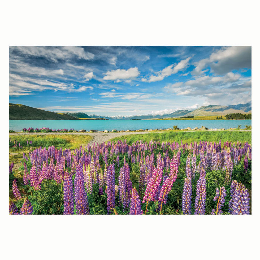 Clementoni puslespil blomster ved tekapo-søen, 1500 stk.