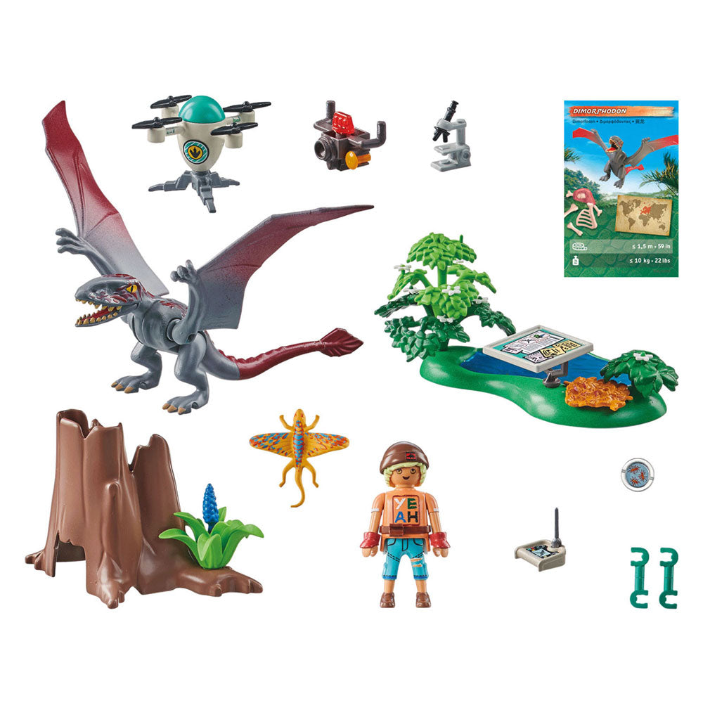 Playmobil Dinos Observation Post for Dimorphodon 71525