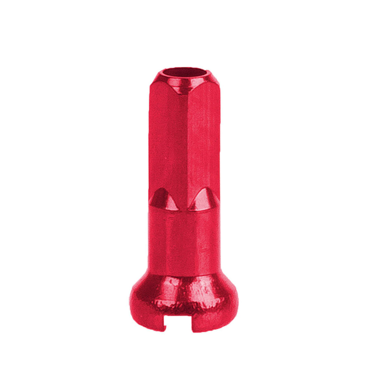 Cnspoke 14g-a eger nippel