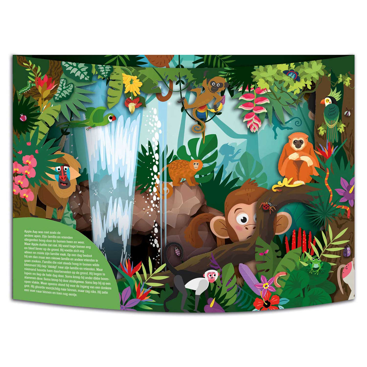 Wonderful World Pop -UP Book - Adventure in the Jungle