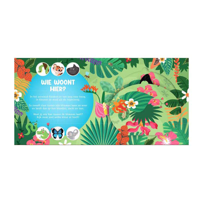 Lanterneforlag, der bor her? i jungleklapbogen