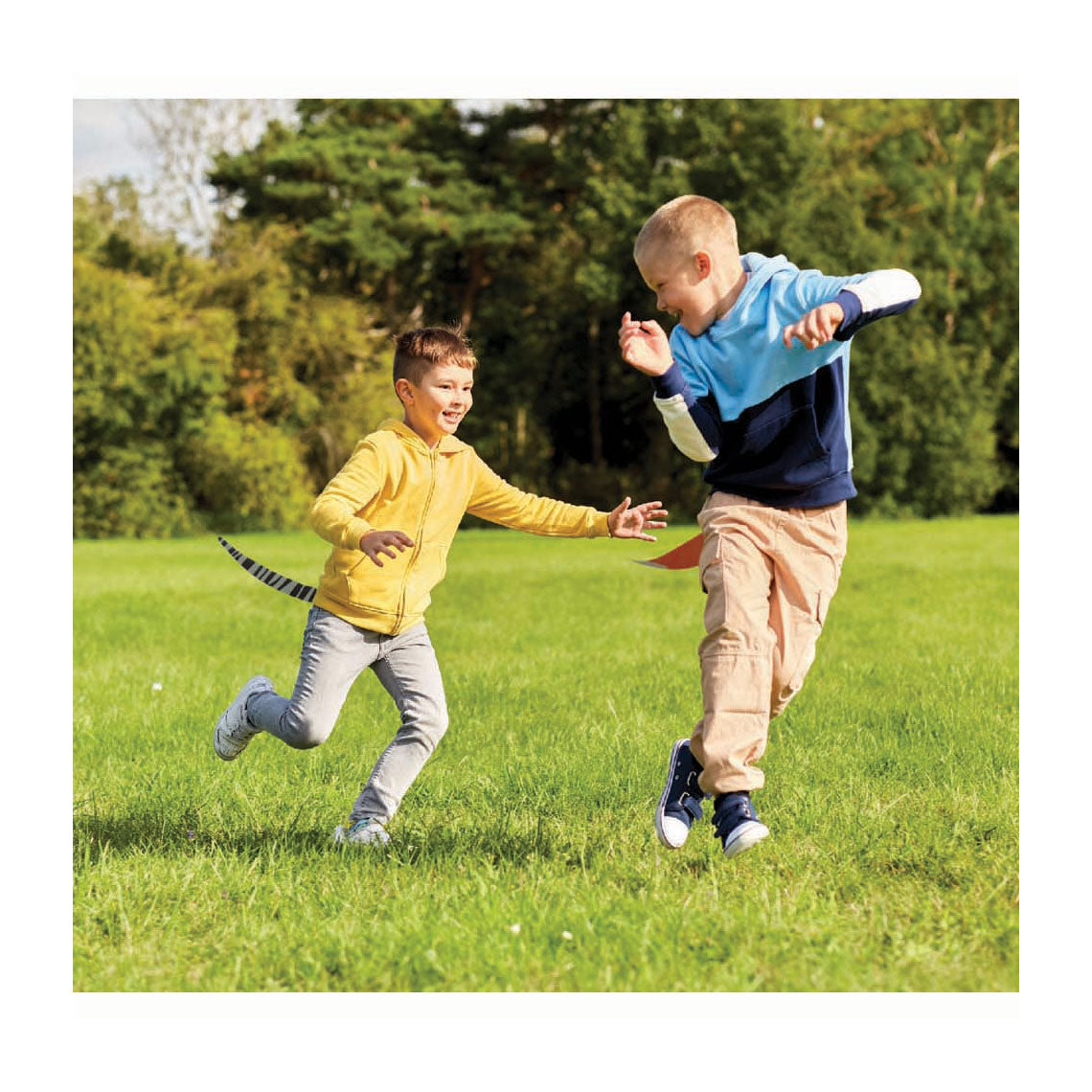 Van manen play today animal tails tag, 6 tails