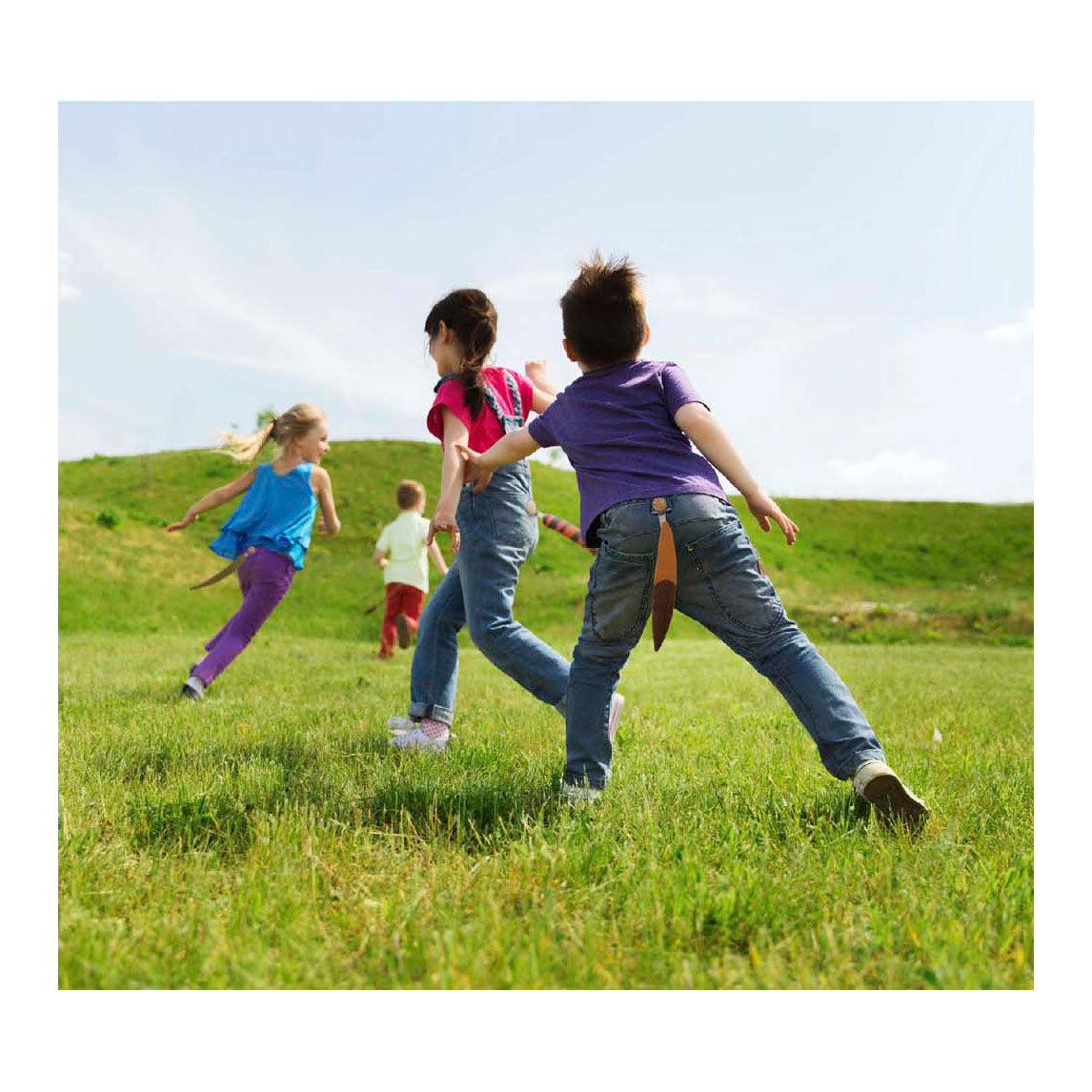 Van manen play today animal tails tag, 6 tails